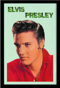 Elvis mirror 22 x 32 cm