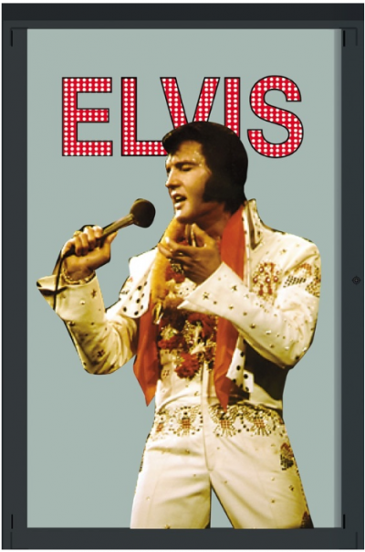Elvis spiegel  22 x 32 cm